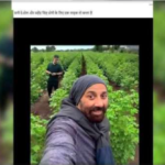 FACT CHECK: Did Sunny Deol Take a Selfie with MS Dhoni? Here’s the Truth Behind the Viral Photo