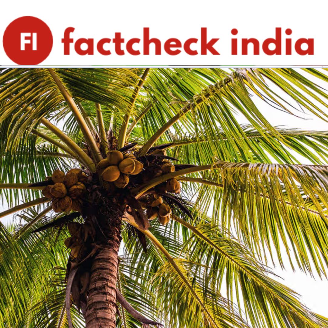 FACT CHECK: Does Coconut Water Really Clear Acne?