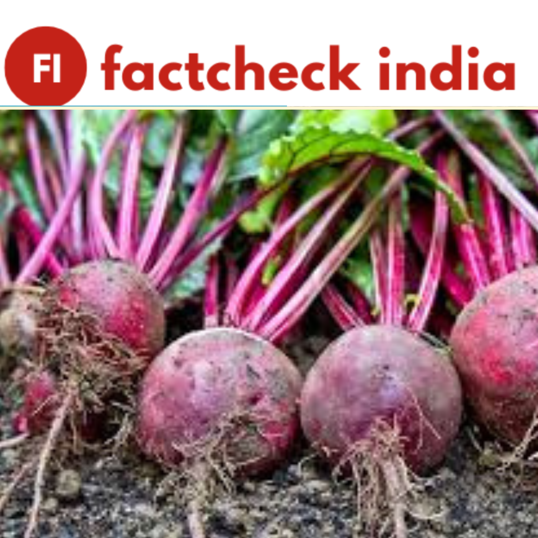 The viral claim that eating raw beetroot is dangerous and should be avoided is misleading.