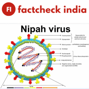 Fact Check: Old and Altered Images Misrepresent Nipah Virus