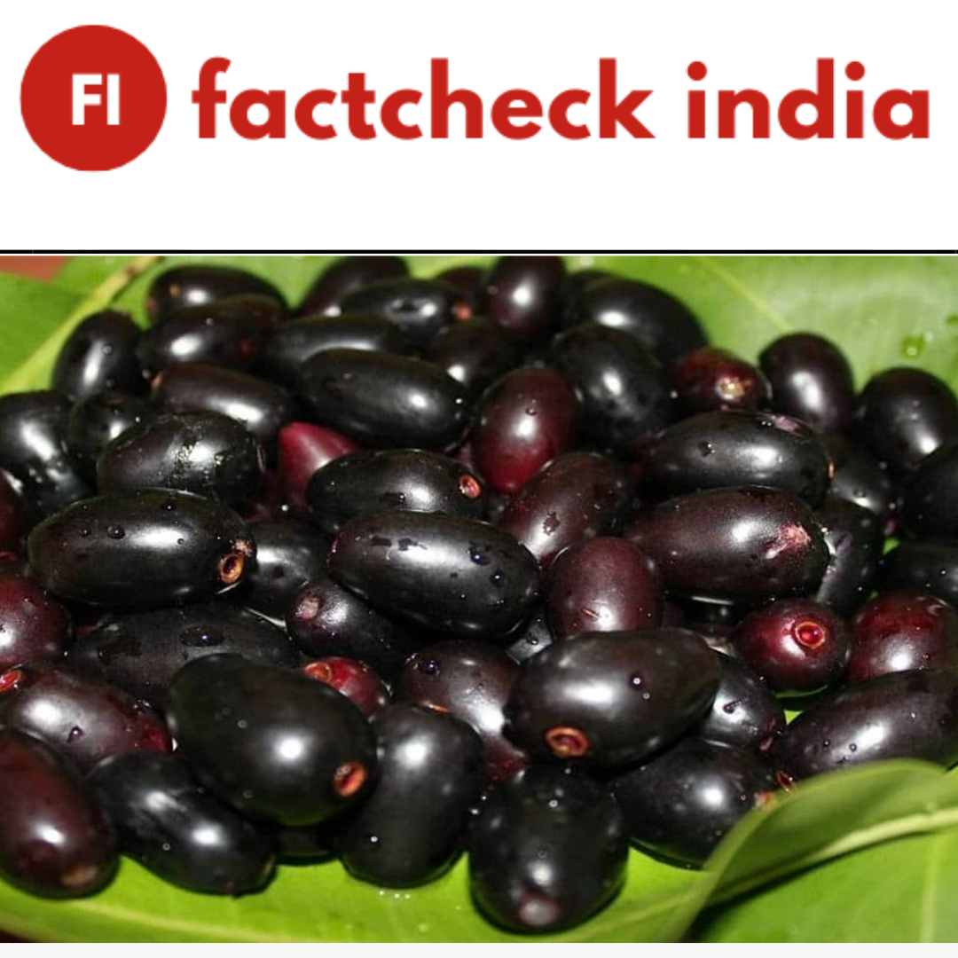 A bumper jamun crop indicates that a drought or weak monsoon is coming.